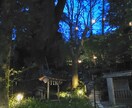 夜の不安を整える癒やしの言葉を届けます 眠る前に、気持ちが軽くなる言葉を一通お届けします。 イメージ1