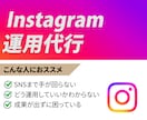 Instagram運用代行致します インスタグラム運用代行・フィード＆リール投稿を構築！ イメージ1
