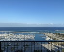 海技免状の更新等を代行します 海事代理士の法定業務として、海技免状の更新を代行します イメージ1