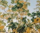 彼の本音と2人の未来を占います 進展のない関係はおわり。復縁・遠距離恋愛・復活愛 イメージ2