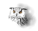 モノクロイラスト描きます ご希望のモチーフでモノクロイラスト作成します。 イメージ3