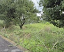 元森林組合×宅建士！空き地の草刈り代行します 立ち会い不要！不動産と山のプロが空き地などの草を刈ります イメージ9