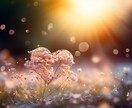 ツインレイと出会う確率,時期を占います ツインレイ...その真実の愛を見つけるキッカケに イメージ2