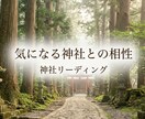 気になる神社との相性をリーディングします 神社鑑定｜惹かれる理由とご縁をお伝えします イメージ1