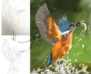 写真やアナログイラストをデジタルイラストに整えます アイコンや挿絵に!高クオリティのデジタルイラストに仕上げます イメージ1