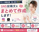 忙しい方向けにSNS投稿を作成します 「実績作りのため7月まで期間限定価格で対応中です」 イメージ1