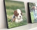 大切なペットを優しく素敵に残すアートを作成します スマホで写真を送るだけ！世界に一つのオリジナル絵画・似顔絵 イメージ3