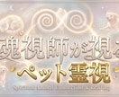魂視師がペット霊視鑑定いたします 虹の橋を渡った子や今いる子どちらも視られます イメージ1