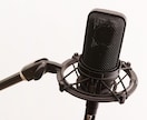 様々な楽曲を、MIX&マスタリング込みで編曲します 弾き語りや鼻歌も完成曲に仕上げます！初めての編曲依頼でも◎ イメージ10