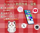 SNSやVlogの動画を丁寧に編集します カット・テロップ・BGMなど基本的な動画編集に対応します イメージ1