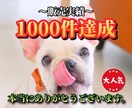 X広告であなたのサービスをPRして集客いたします 集客にお悩みの方必見！適切なﾀｰｹﾞﾃｨﾝｸﾞで効率良く集客 イメージ6