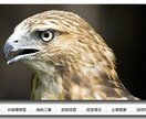 AIホームぺージを無償で作成します 簡単更新、SEO対策済、運用費も年間20,000円です イメージ5
