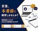現役の営業責任者が商談ロープレします 100名育成の経験で、商材に合わせた売れる型をご提案 イメージ2