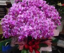 ギフトにする花のプレゼント商品の見方教えます 古いお花高く買わされてませんか？ イメージ3