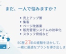 楽天SOY受賞！ECサイト運営を伴走支援します EC歴27年の経験から最適解を提案！ イメージ3