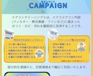 目に留まる。伝わる。チラシ・フライヤー作成します 低価格で高品質！配色を考え、目を惹くデザインに仕上げます！ イメージ6