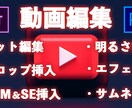 YouTube向けの動画編集代行いたします 動画編集に時間を取られたくない方や動画編集スキルがない方へ イメージ2