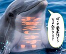 ホロスコープ鑑定！1年間の運勢をタロットで告げます 即納★50%off！今後12ヶ月間の流れを予知宣告いたします イメージ5