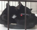 寝る前に仕事の愚痴お聞きします その日の愚痴寝る前にお話ししてください。 イメージ1