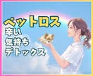 ペットロス★心の痛み後悔に現役看護師が寄り添います 孤独・後悔・喪失感・涙が止まらない★それが自然だと思います。 イメージ1