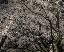 お悩み相談受け付け致します 【値下げ】相談して吹っ切れませんか？お手伝い致します。 イメージ2