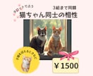 テキスト鑑定！猫ちゃん同士の相性を占います 新しく猫ちゃんを迎えるときなど。3組まで同額です！ イメージ1