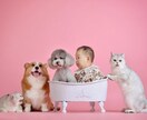3児の母が子育ての不安、お聞きします 産後うつ経験育児の不安、悩み、愚痴、何でも イメージ3