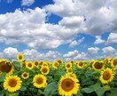 複雑愛｜彼が今あなたに抱く本音を霊視で視ます ワンコインで未来や結論は語りません。本音だけをお伝えします イメージ2