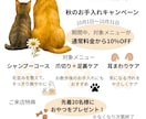 CanvaでSNS投稿画像を3枚制作します Instagram投稿を見やすく丁寧にデザインします イメージ9