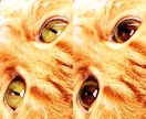 猫ちゃんの写真修正★瞳孔デカ目★にします うちの子もっとスゴイんです！惜しい写真を自慢の一枚に イメージ3