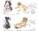 動物似顔絵・手描きの水彩で描きます 鮮やかなタッチの水彩画で、思い出をアートとして残しませんか? イメージ3