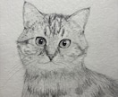 大切な人の記念に！リアルな鉛筆画オーダー承ります 画歴は短いですが、その分どこよりも真剣に描きます イメージ3