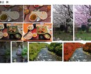 古写真を丁寧に修復・復元いたします 傷・破れ・色褪せを自然な仕上がりで修復します イメージ4