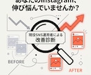 Instagramのアカウント改善点を診断します 【モニター価格】現役SNS運用者が診断します イメージ1
