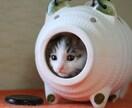 現状を打破したい人、方法を教えます 先に進めずお困りのかた、未来を手にいれましょう イメージ1