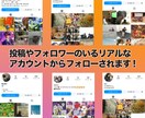 インスタの女性日本人フォロワー200以上増やします 【30日間の減少保証】アカウントの凍結リスク無し　高品質 イメージ4