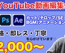 YouTube向け動画の編集代行をいたします 低価格で即レスポンス・丁寧なサービス❗️ イメージ1