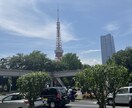 一人じゃないです♡あなたの本音、私が伺います 普段なかなか出せない本音、わたしにお話ください☘ イメージ1