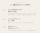 40代女性へ8つの占術で人生地図を鑑定します 「当たっている」だけじゃなくて、寄り添い、前を向けます。 イメージ2