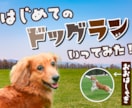 1枚1,000円でサムネイル画像を作成します Youtubeのサムネイルほか、バナーやヘッダーも承ります イメージ6
