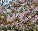 気分転換にお話します 1人寂しい、つらい、暇でだらだらしちゃう切り替え時などに！ イメージ5