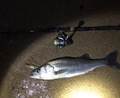 魚の釣り方教えます ロッド操作やルアーアクションなど適材適所に教えていきます。 イメージ2