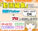 プロ×現役Vtuberが丁寧に動画編集いたします ゲーム実況や配信切り抜きなどの動画編集をサポートします！！ イメージ1