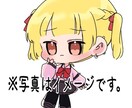 ちびキャラ上半身イラストをお描きします 可愛い絵柄でちびキャラを描きます イメージ2