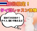 初回限定!タイ語レッスン体験 ネイティブが教えます まずはお試しでタイ語レッスンを受けれます! イメージ1