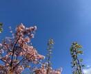 1分からOK！気分変調性障害当事者が寄り添います 症状/うつ病との違い/双極性障害との違い/悩み/不安 イメージ9