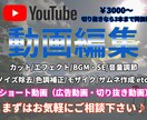 ショート動画編集します 切り抜き動画であれば3本分まで同値段で対応します。 イメージ1