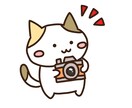東京都マッチングアプリ写真撮影+恋愛相談乗ります 即日お渡し可能◎プロフィールの添削もお任せください！ イメージ1