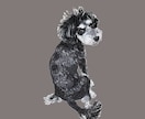 ミニチュアシュナウザーの似顔絵を描きます ミニシュナと暮らす犬絵師が、写真から似顔絵を描きます イメージ3