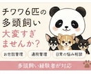 わんこ多頭飼いさんの日常管理やお悩みお聞きします たくさんのわんこは可愛い！でも大変！を少しだけ楽にします笑 イメージ1